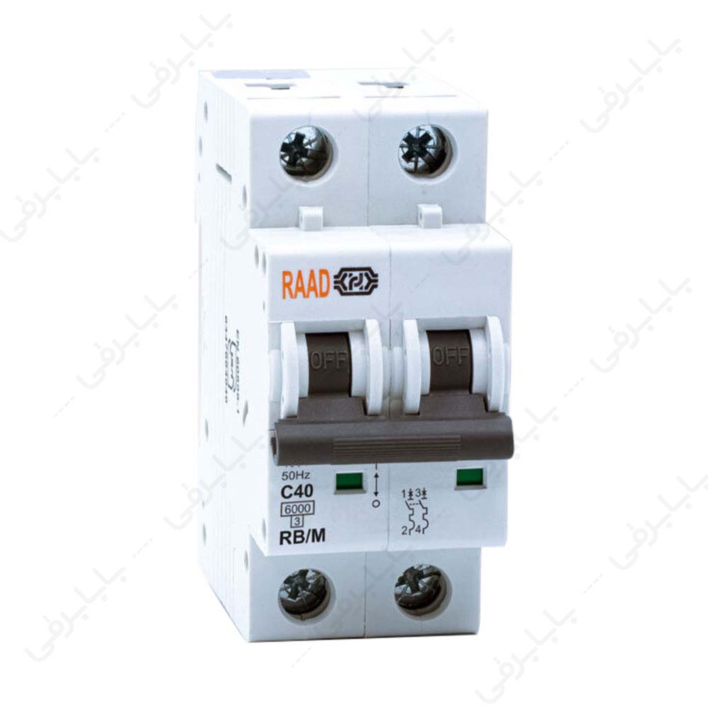 کلید مینیاتوری 2 پل 40 آمپر RB-M-2P C4006kA