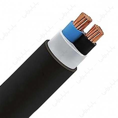 کابل-برق-مفتولی-نصب-ثابت،-خشک،-زمینی-2-در-6-6×2-خراسان-افشارنژاد@BABARGHI.jpg